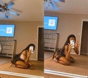 Reviews about escort with phone number 8562504079