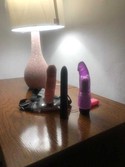 Reviews about escort with phone number 9292886186