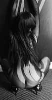 Reviews about escort with phone number 8566250698