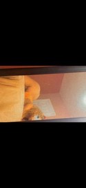 Reviews about escort with phone number 4258803169