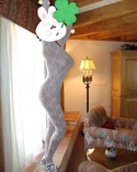 Reviews about escort with phone number 9083731612