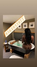 Reviews about escort with phone number 8564933977