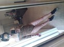 Reviews about escort with phone number 5107672455