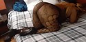 Reviews about escort with phone number 6825142168