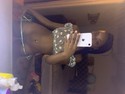 Reviews about escort with phone number 7734912976