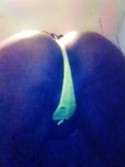 Reviews about escort with phone number 2675097099