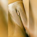 Reviews about escort with phone number 5182887246