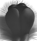 Reviews about escort with phone number 6822454053