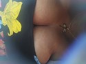 Reviews about escort with phone number 3479421894