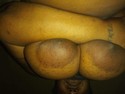 Reviews about escort with phone number 2053821763