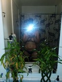 Reviews about escort with phone number 4066040303