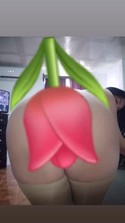 Reviews about escort with phone number 6465059028