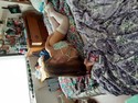 Reviews about escort with phone number 7276232319