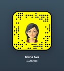 9518216031