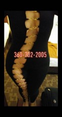 Reviews about escort with phone number 3607022005
