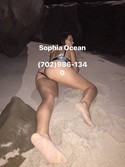 Reviews about escort with phone number 7029861340