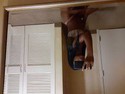 Reviews about escort with phone number 4848164138