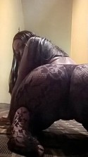 Reviews about escort with phone number 8135159005