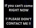 Reviews about escort with phone number 3137511616