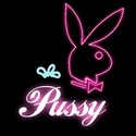 Reviews about escort with phone number 4804530458