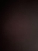 9083228811