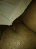 6464932875