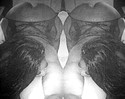 Reviews about escort with phone number 6072424150