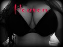 Reviews about escort with phone number 8137432489