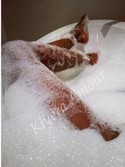 Reviews about escort with phone number 5032503057