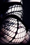 Reviews about escort with phone number 2568887918