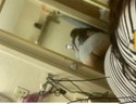 Reviews about escort with phone number 2256666517
