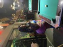 Reviews about escort with phone number 6782608885
