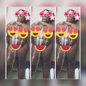 Reviews about escort with phone number 9842319711