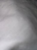 Reviews about escort with phone number 3149483878