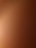 Reviews about escort with phone number 7063507288